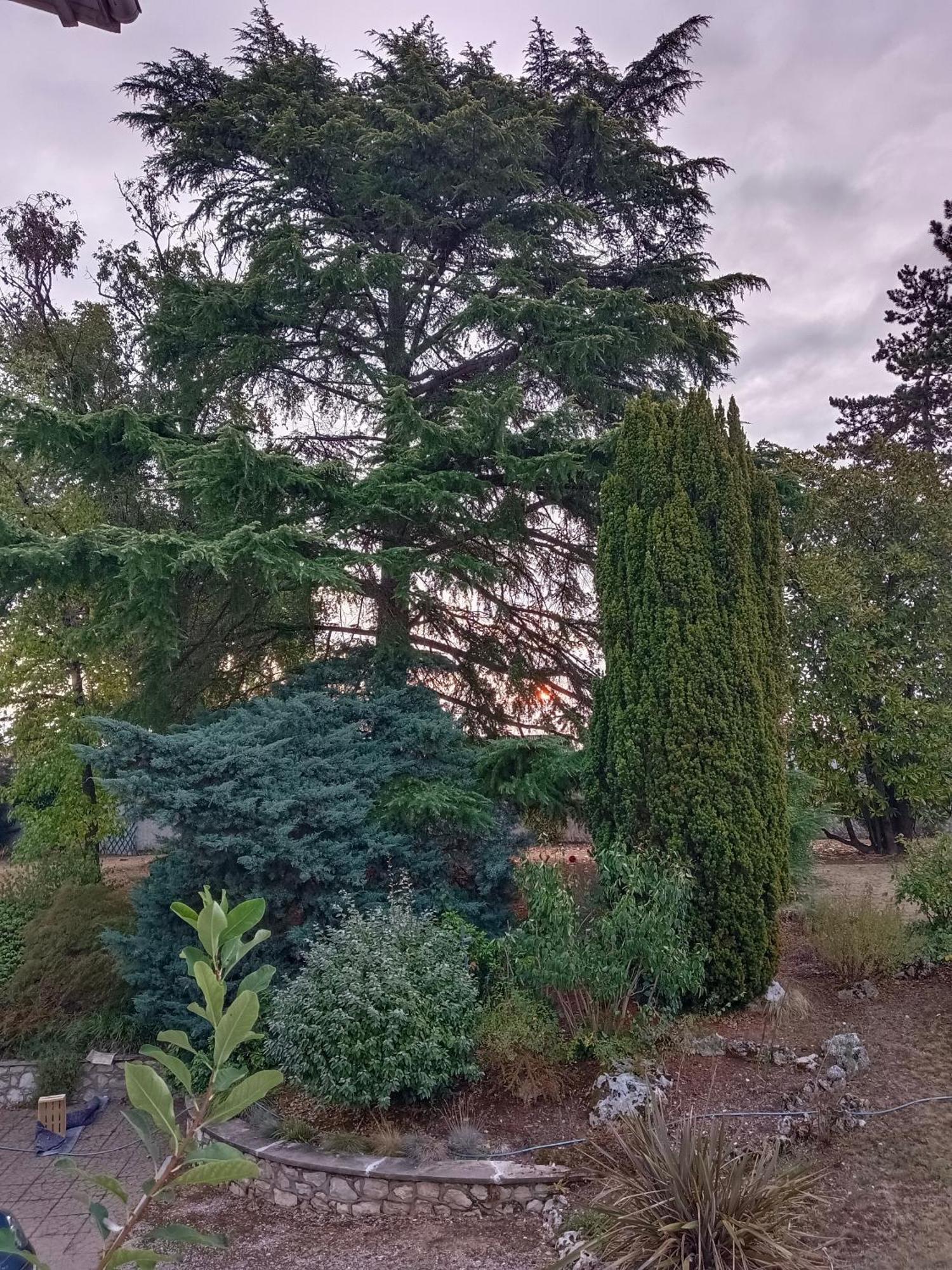 La Maison Basque Sainte-Livrade-sur-Lot エクステリア 写真